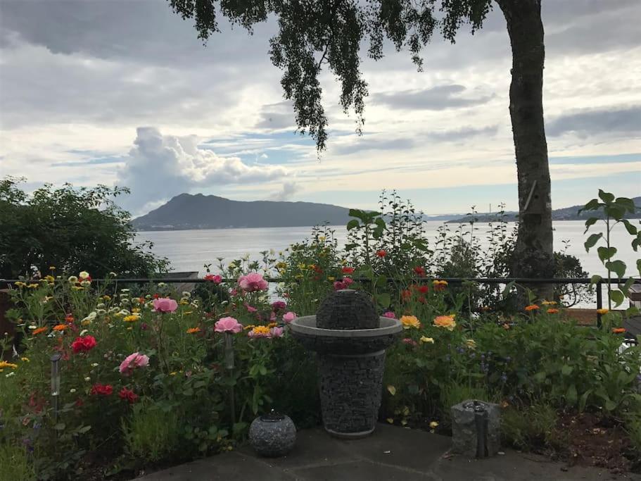 Sentrumsnaer Enebolig Med Stor Hage, 100 M Fra Badestrand *