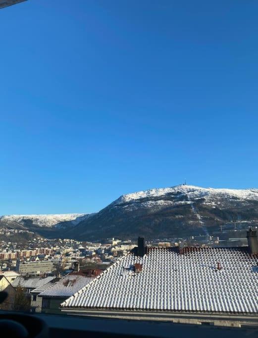 Flott Sentral 3 Roms Leilighet * Bergen