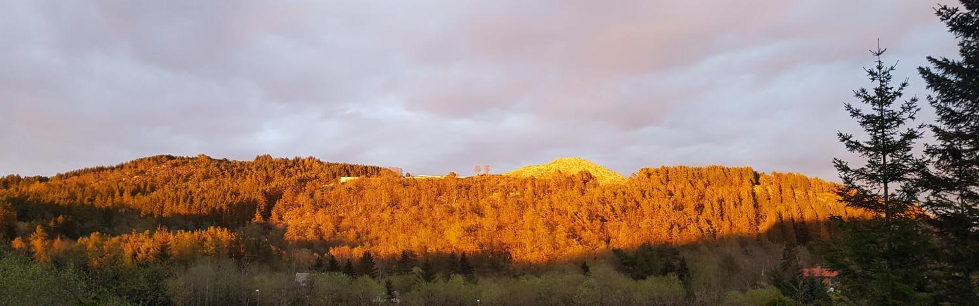 Apartment Fjordclaw Snm- Adjoining The City & Nature Bergen