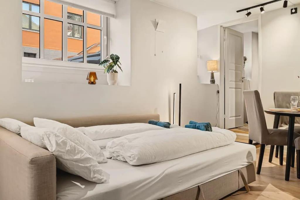 New! Modern And Comfy City Apt! Apartment *