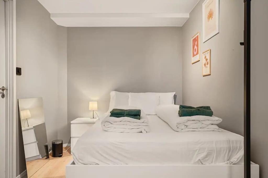 New! Modern And Comfy City Apt! Apartment