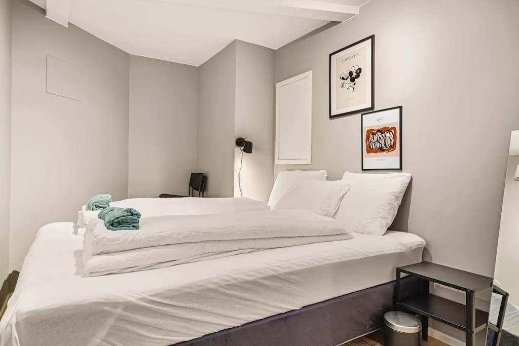New! Modern And Comfy City Apt! Apartment Bergen