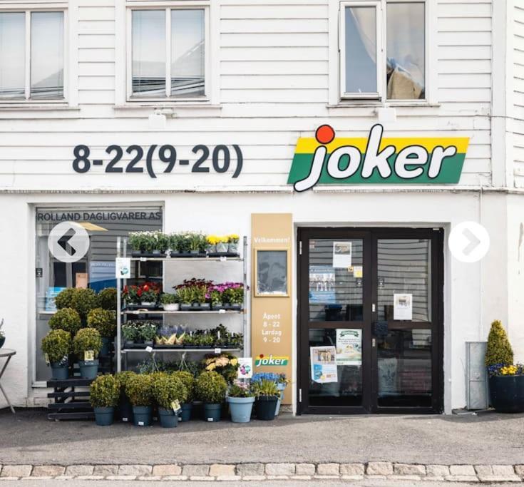 Beautiful Apartment, Close To Center/bryggen *