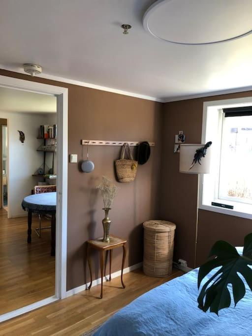 Cosy Aparment In