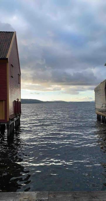 Skuteviken Apartment