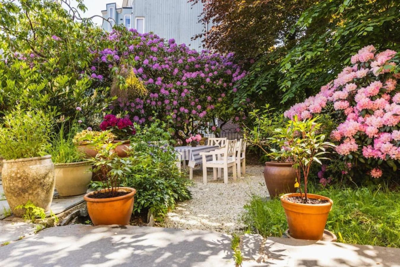 Dinbnb Homes I Historical 1896 Residential Apartment