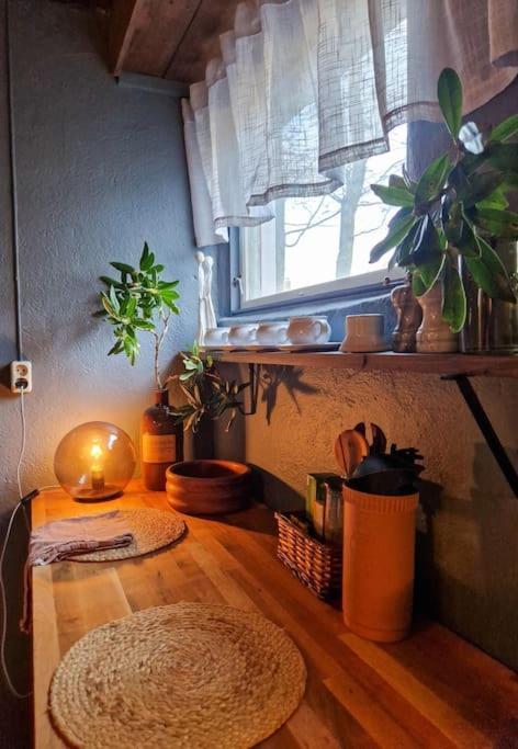 Cosy Ground Floor With Three Bedrooms Apartment