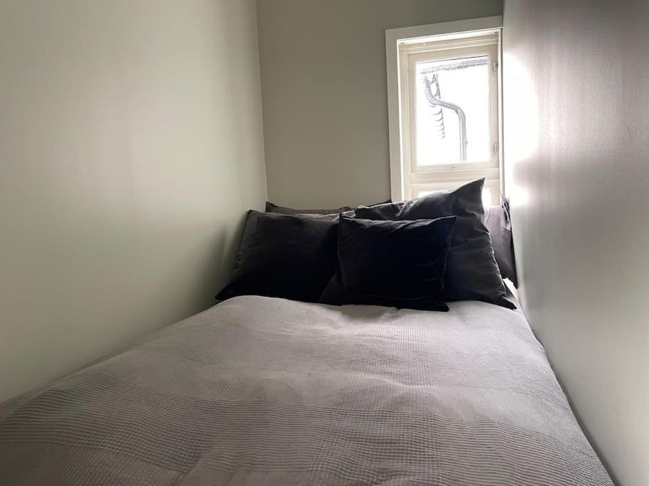 Dinbnb I 500 M To Centrum I Shared Patio I Street Parking Lägenhet *