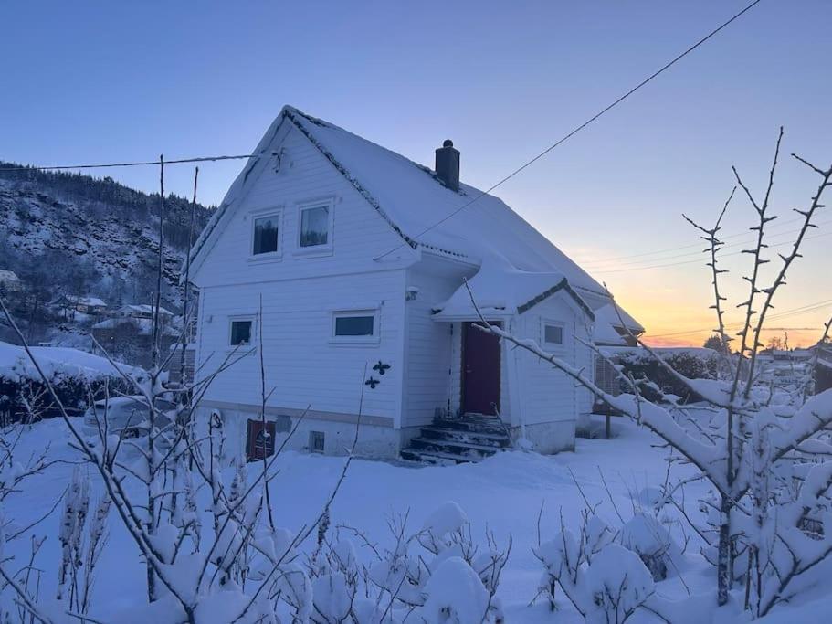 Stort, Koselig Hus I Naturomrade *