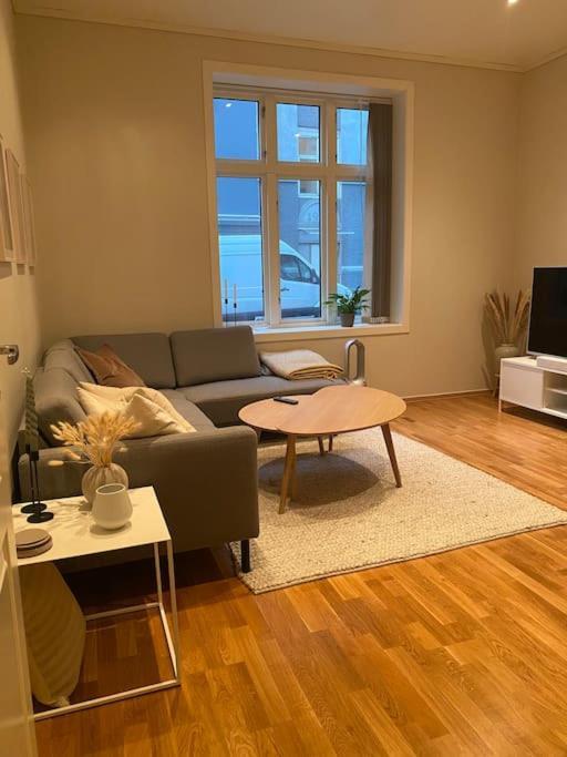Lovely In Apartment