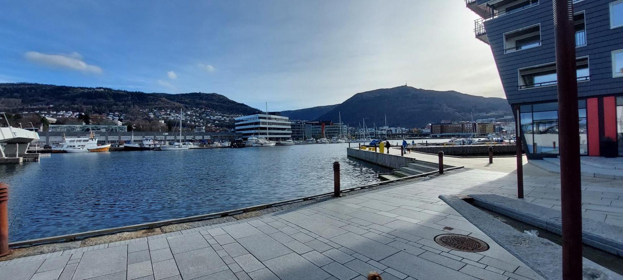 Bergen City Apartment *