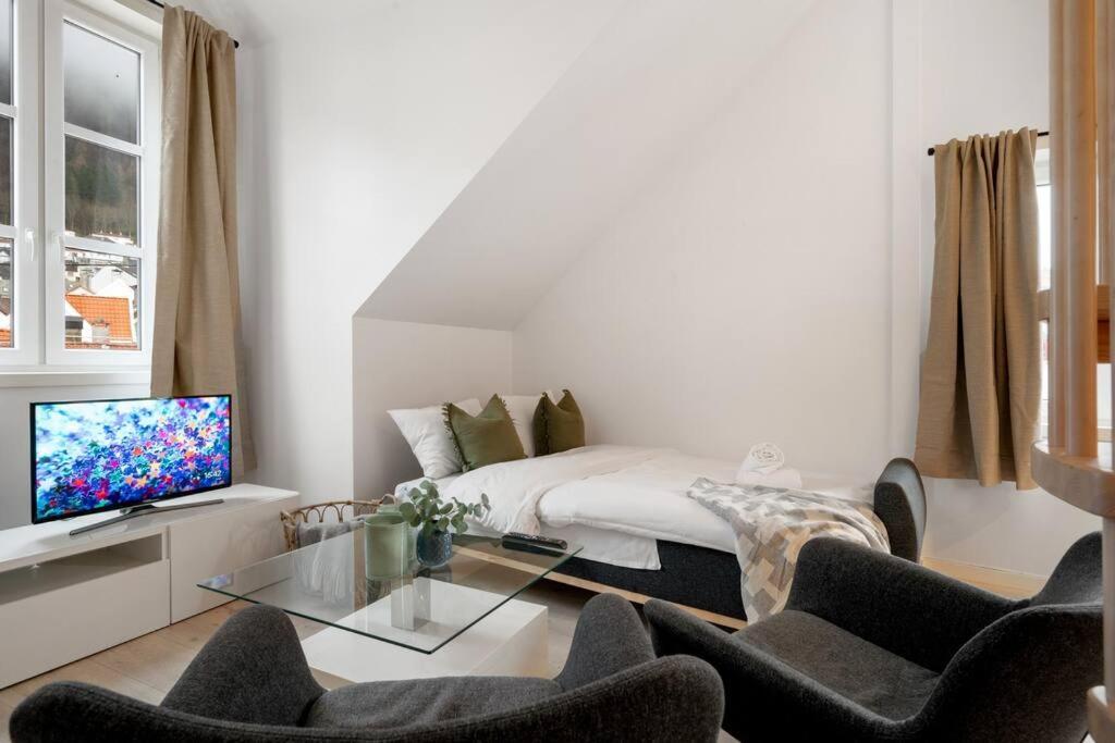 New! Well Eqipped Three Bedroom Penthouse! Bergen