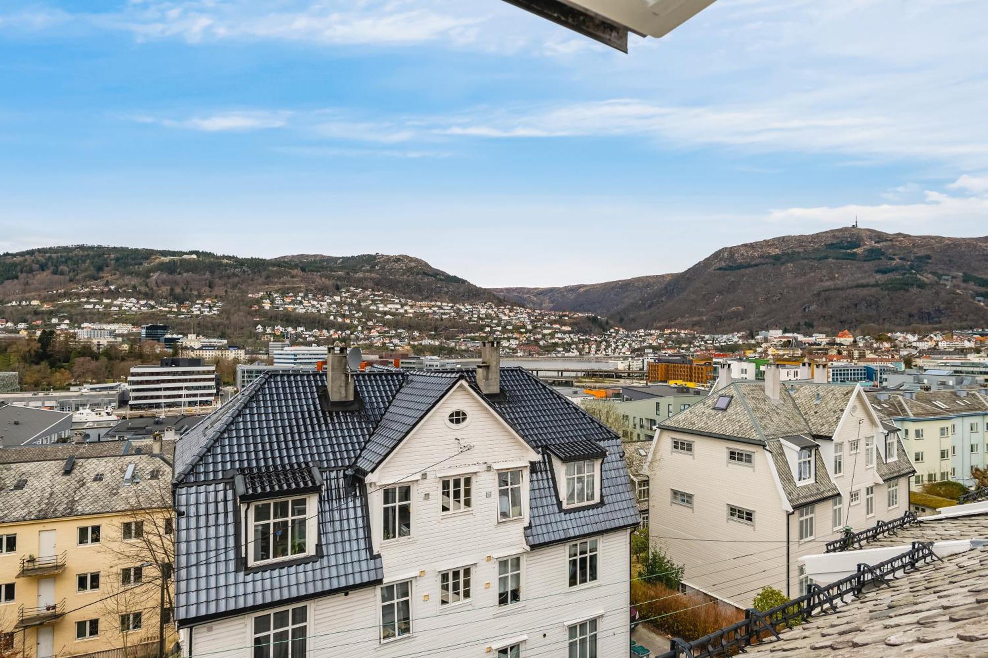 Apartment 2-story Top Floor I 3x Work Space I Shared Garden Bergen