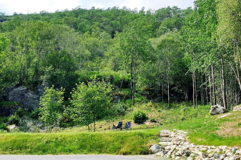 Appartement Hillfront 60 *
