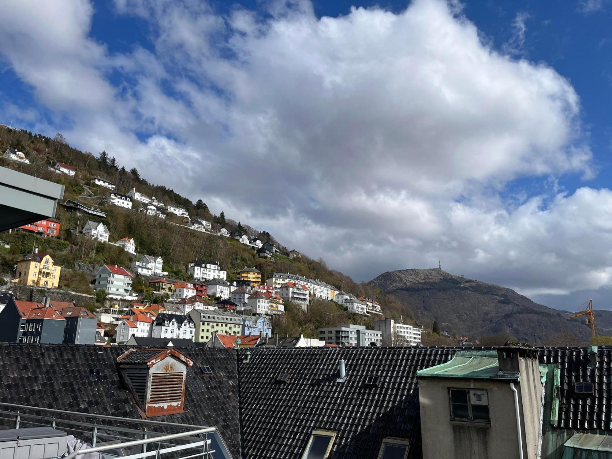 Veversmauet * Bergen