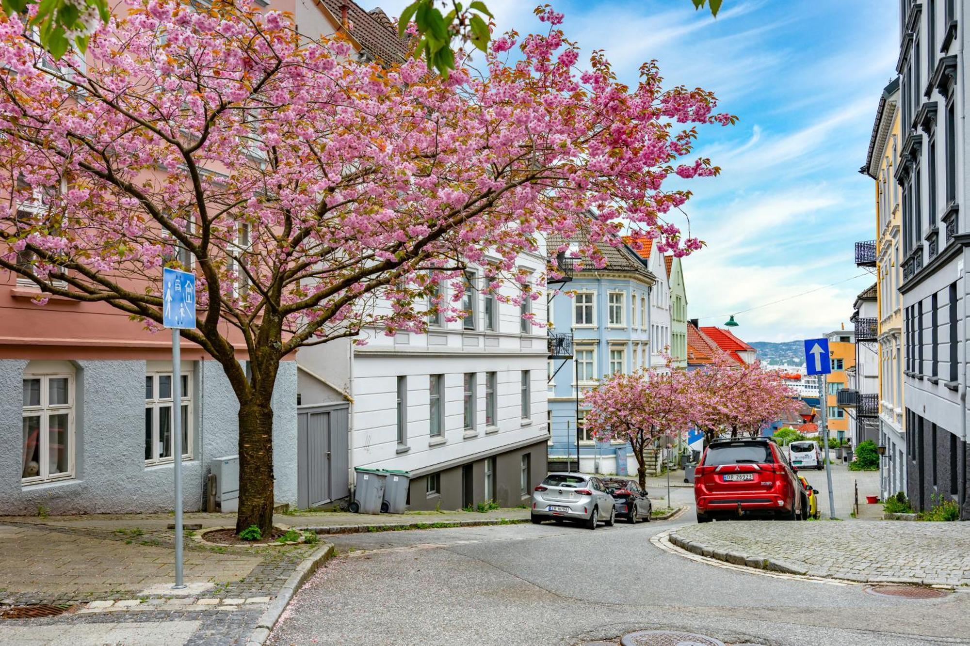 Spacious 3-bedroom For 8 By Bryggen Apartment