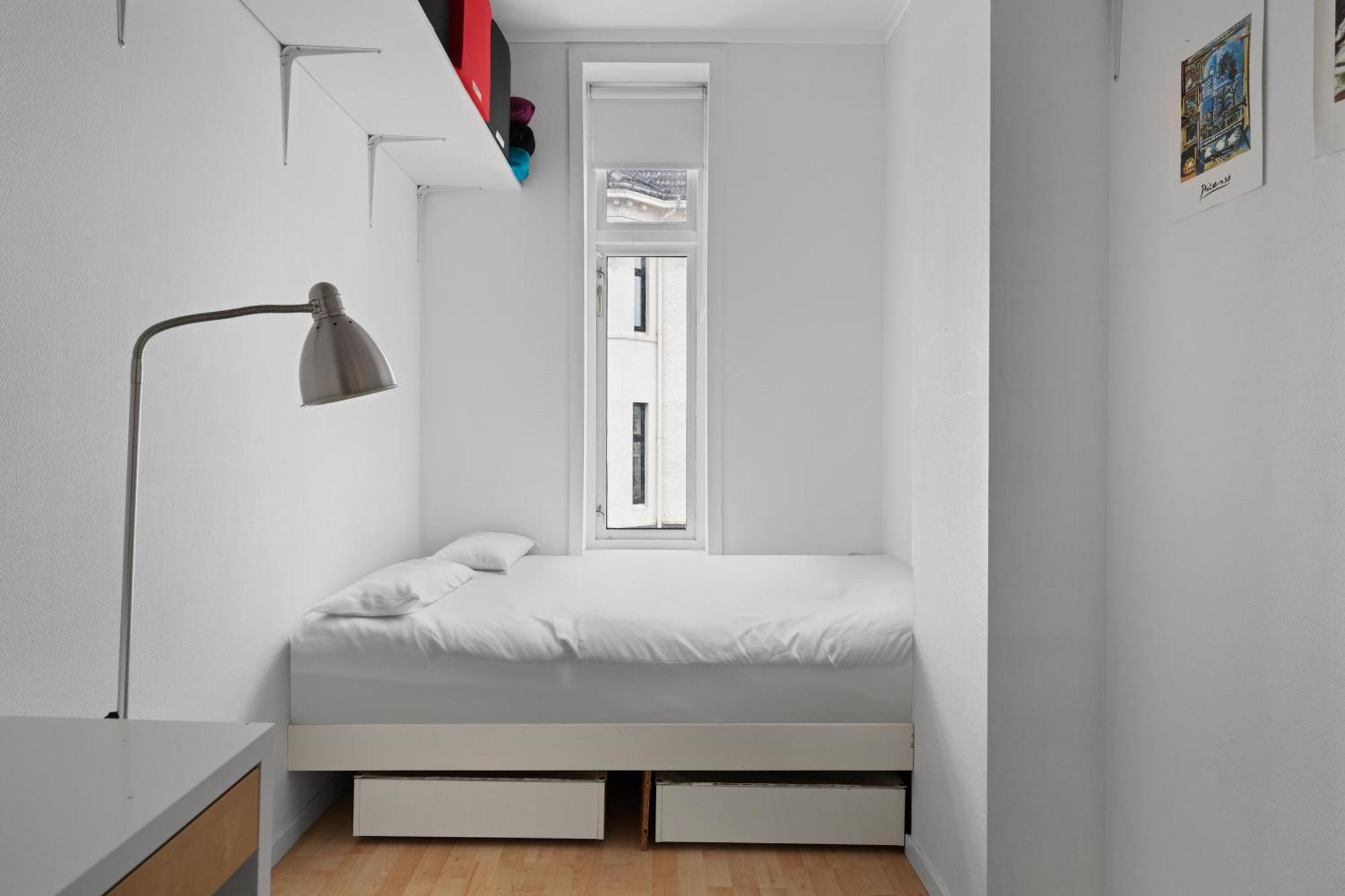 Your Local Dream In The Heart Of The