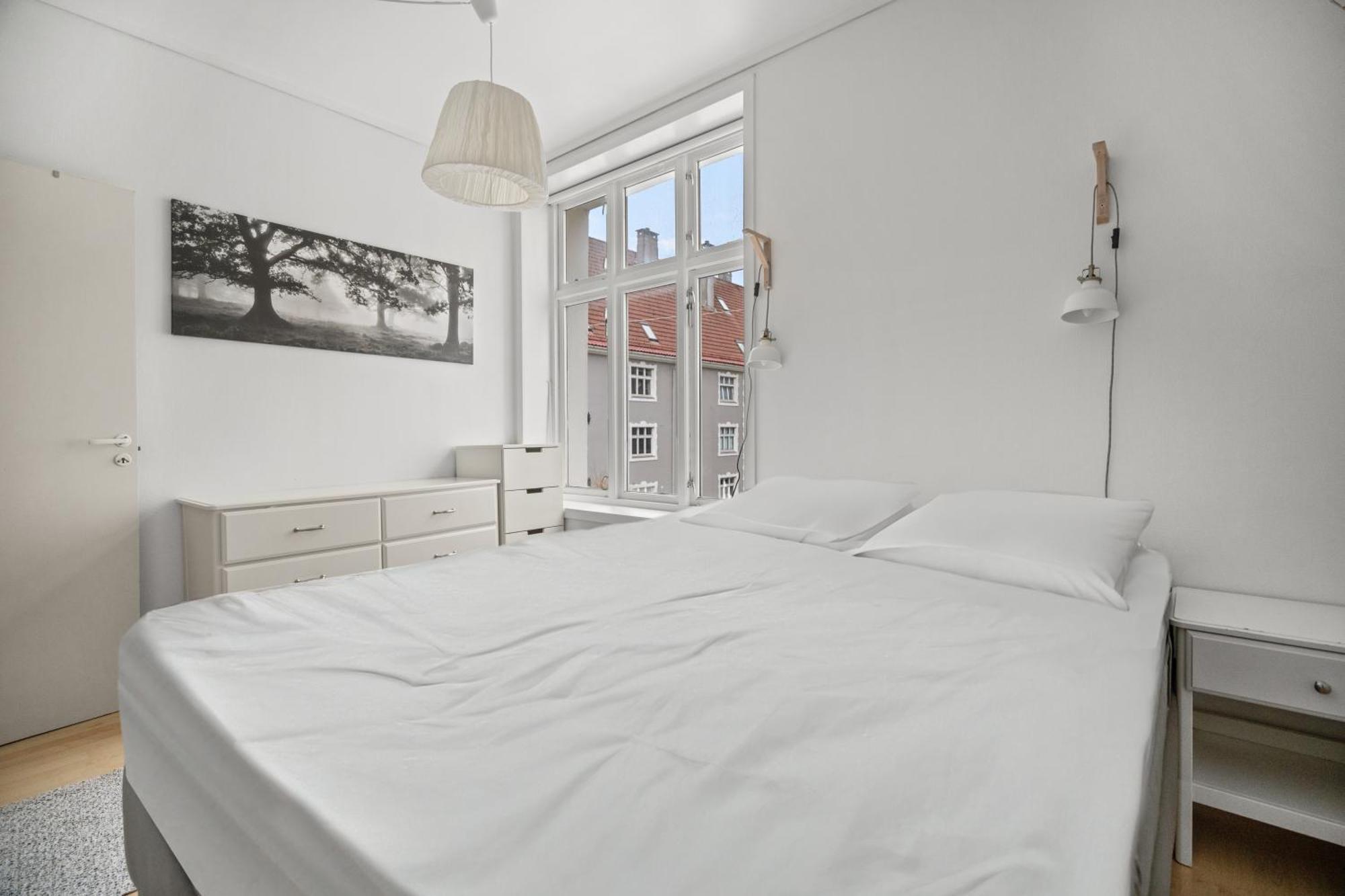 Your Local Dream In The Heart Of The Bergen