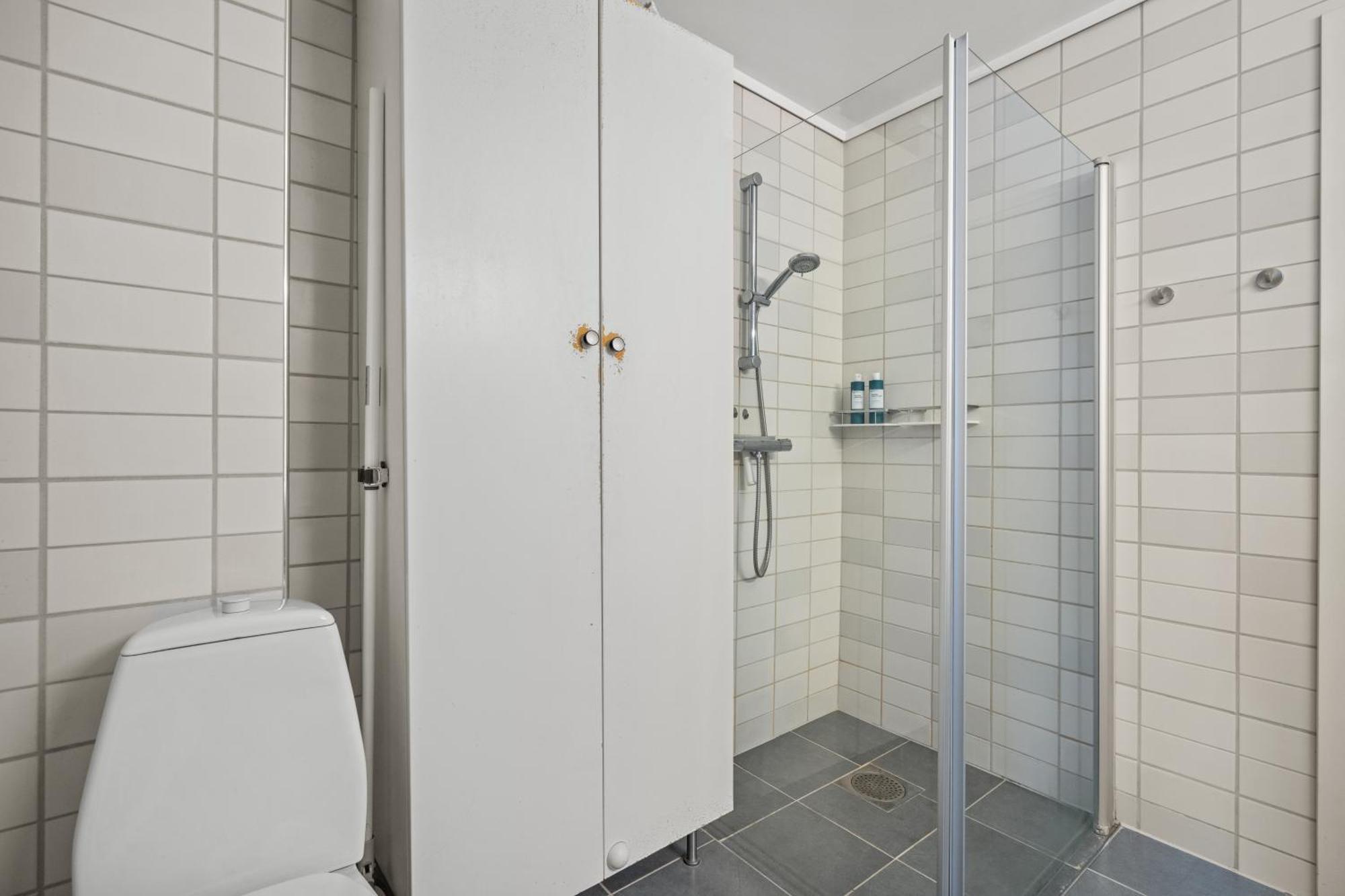 Your Local Dream In The Heart Of The * Bergen