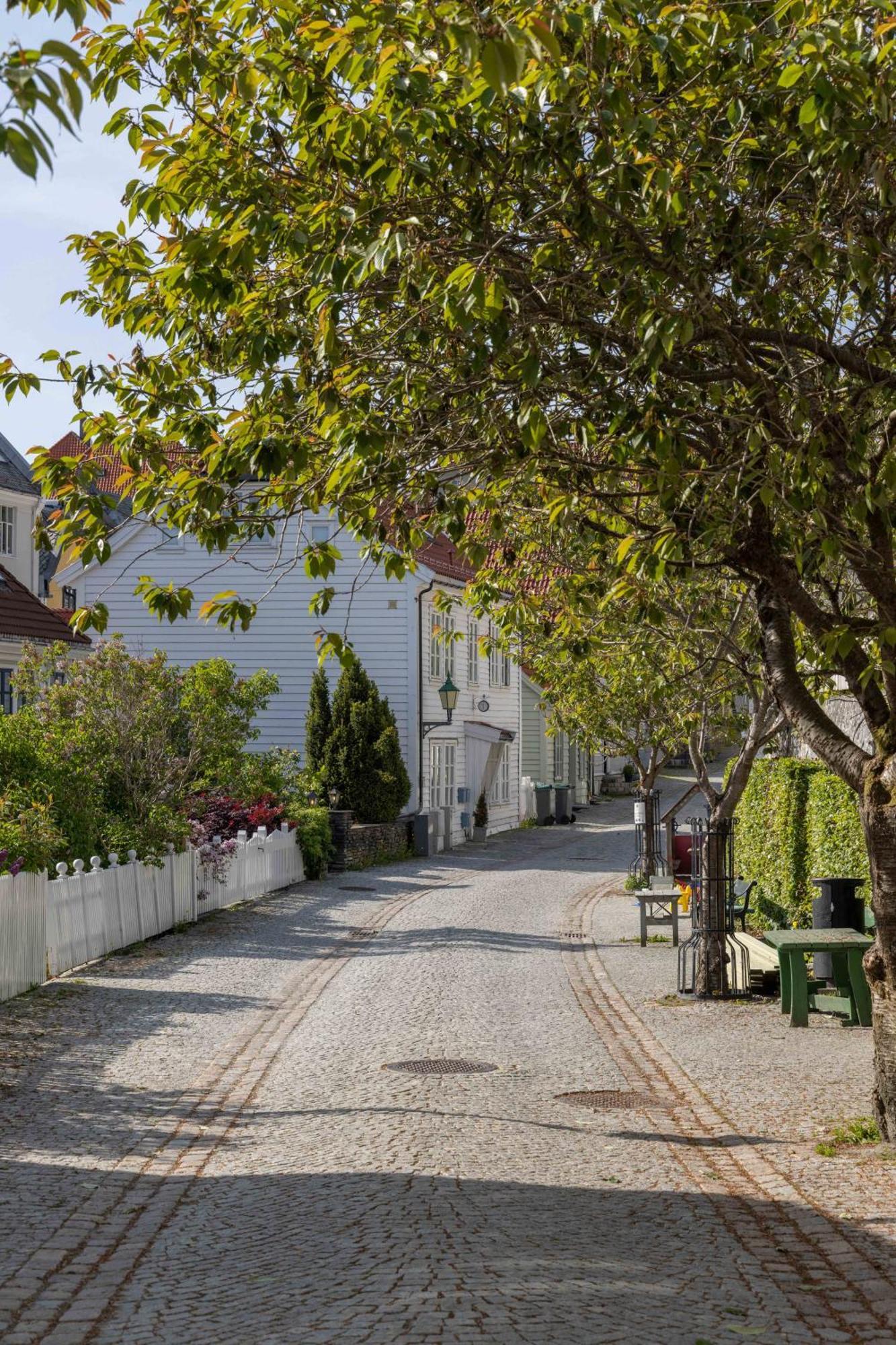 Nydelig Townhouse Sentralt I Bergen, Sandviken Lägenhet Bergen