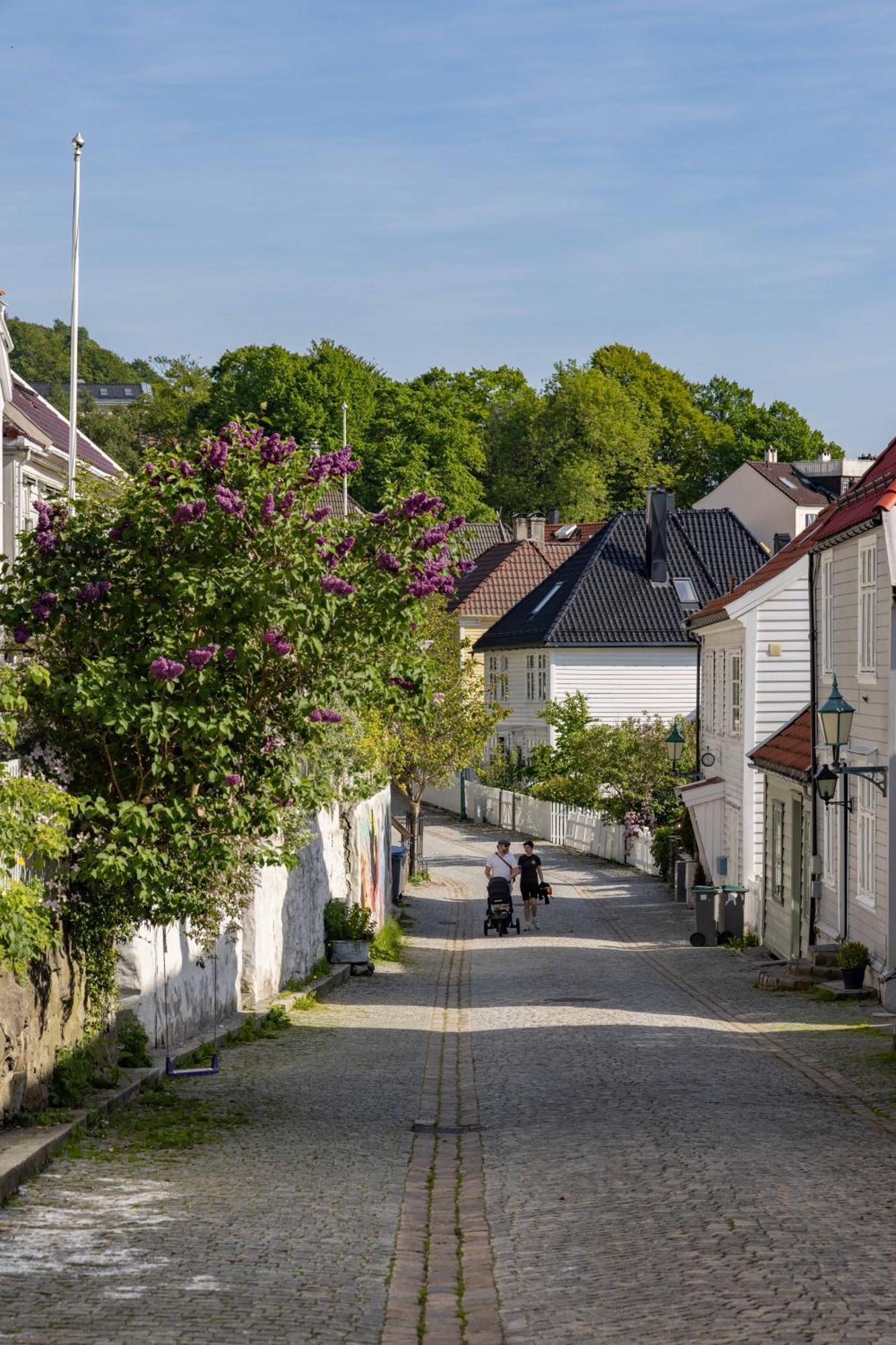 Lägenhet Nydelig Townhouse Sentralt I Bergen, Sandviken Bergen
