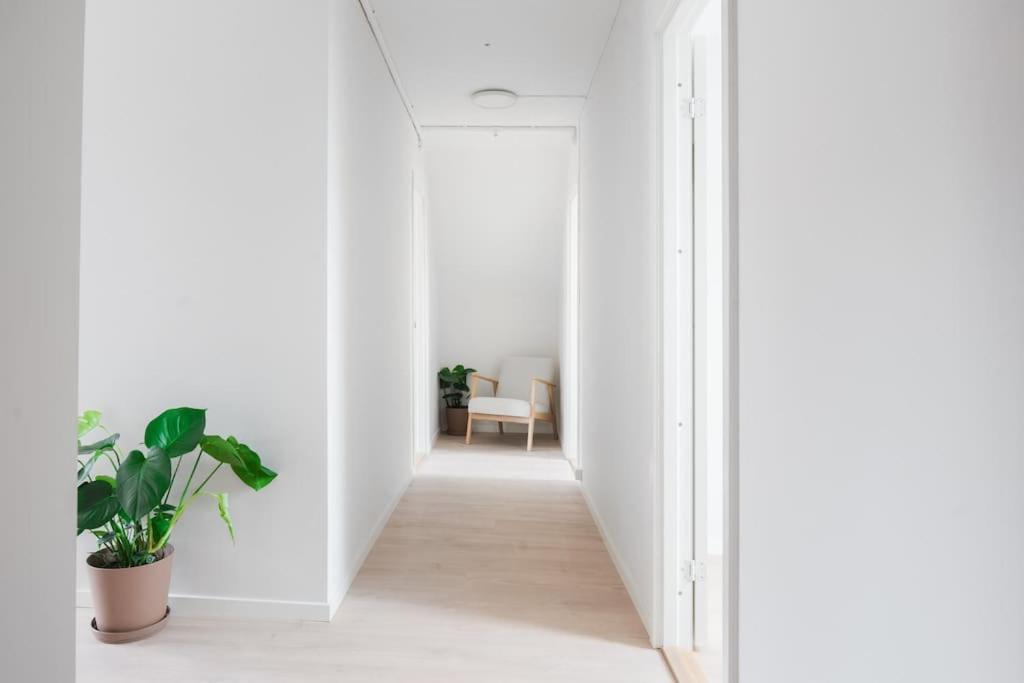 New In The Center * Bergen
