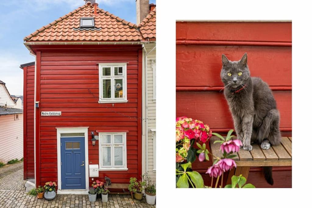 Det Lille Rode Huset Ved Floibanen * Bergen
