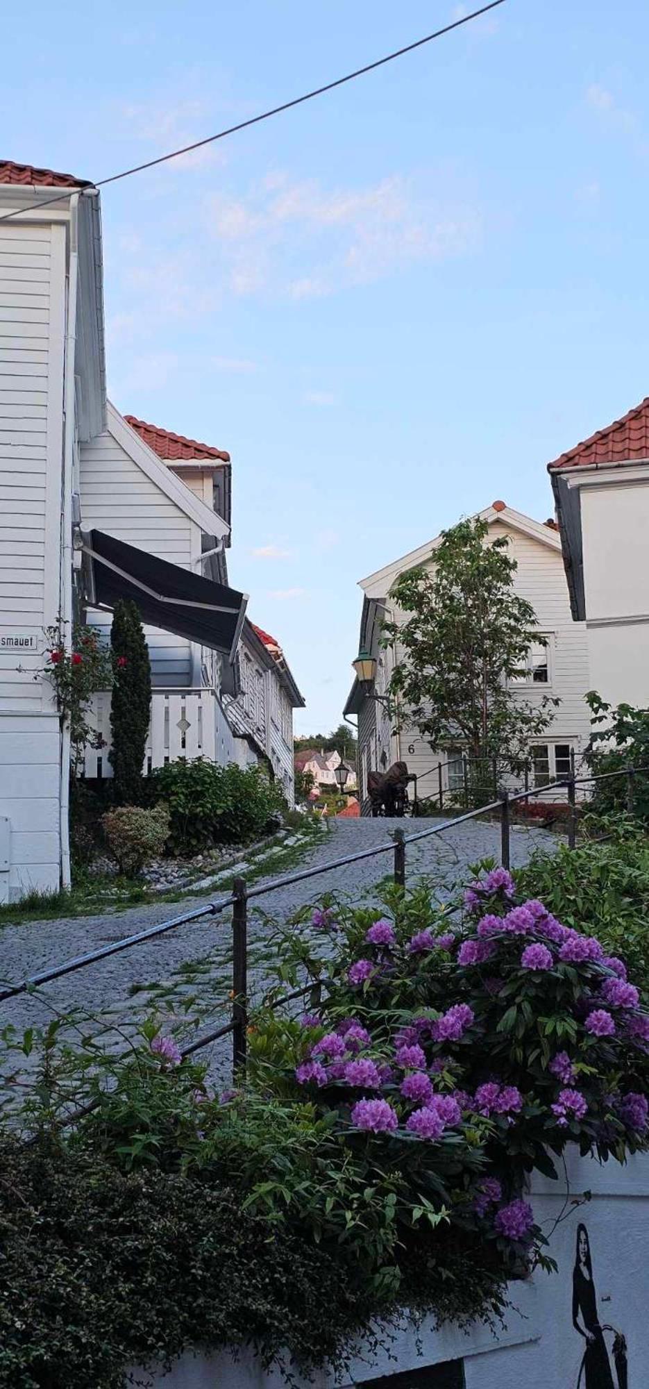 Apartment Dreggsalmenning 20 Bergen