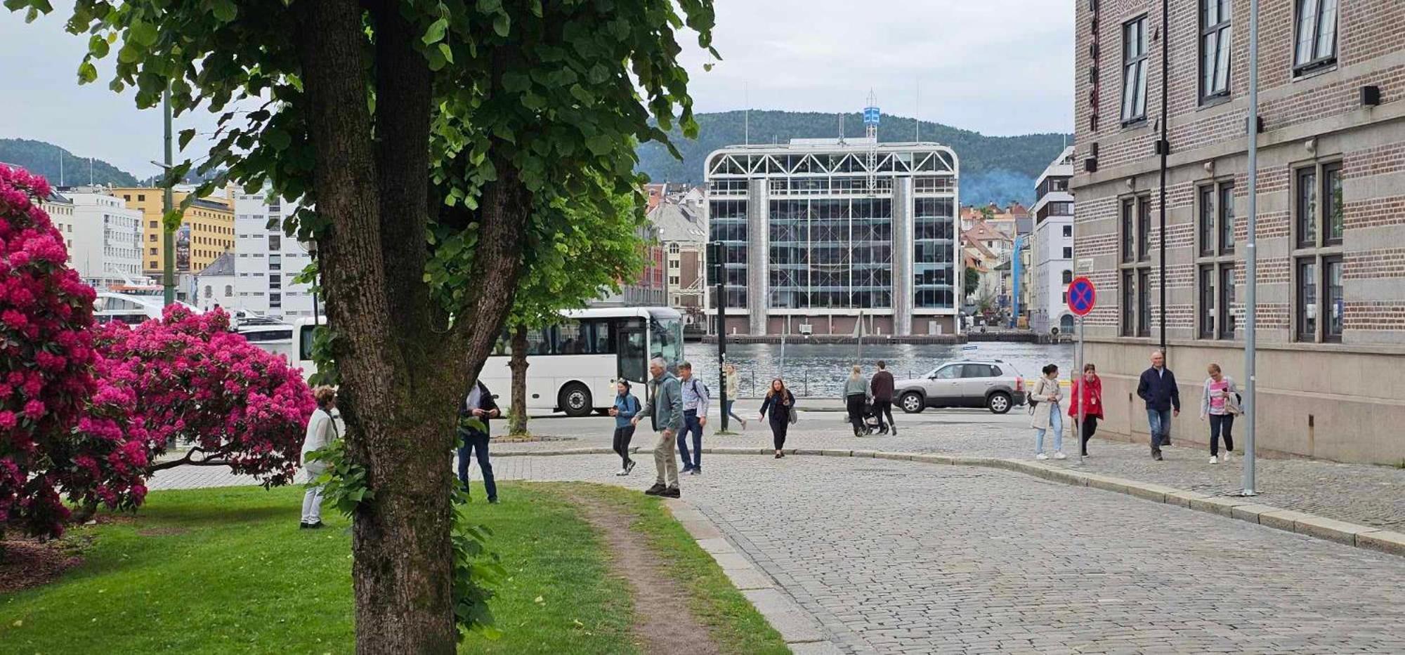 Dreggsalmenning 20 Apartment Bergen