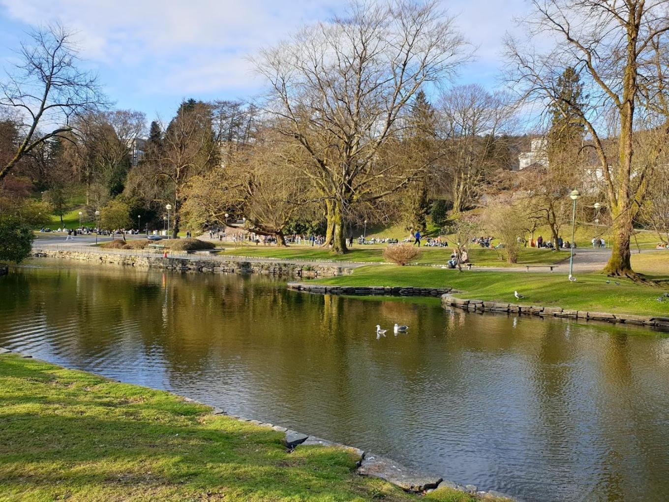 Centrum Bergen