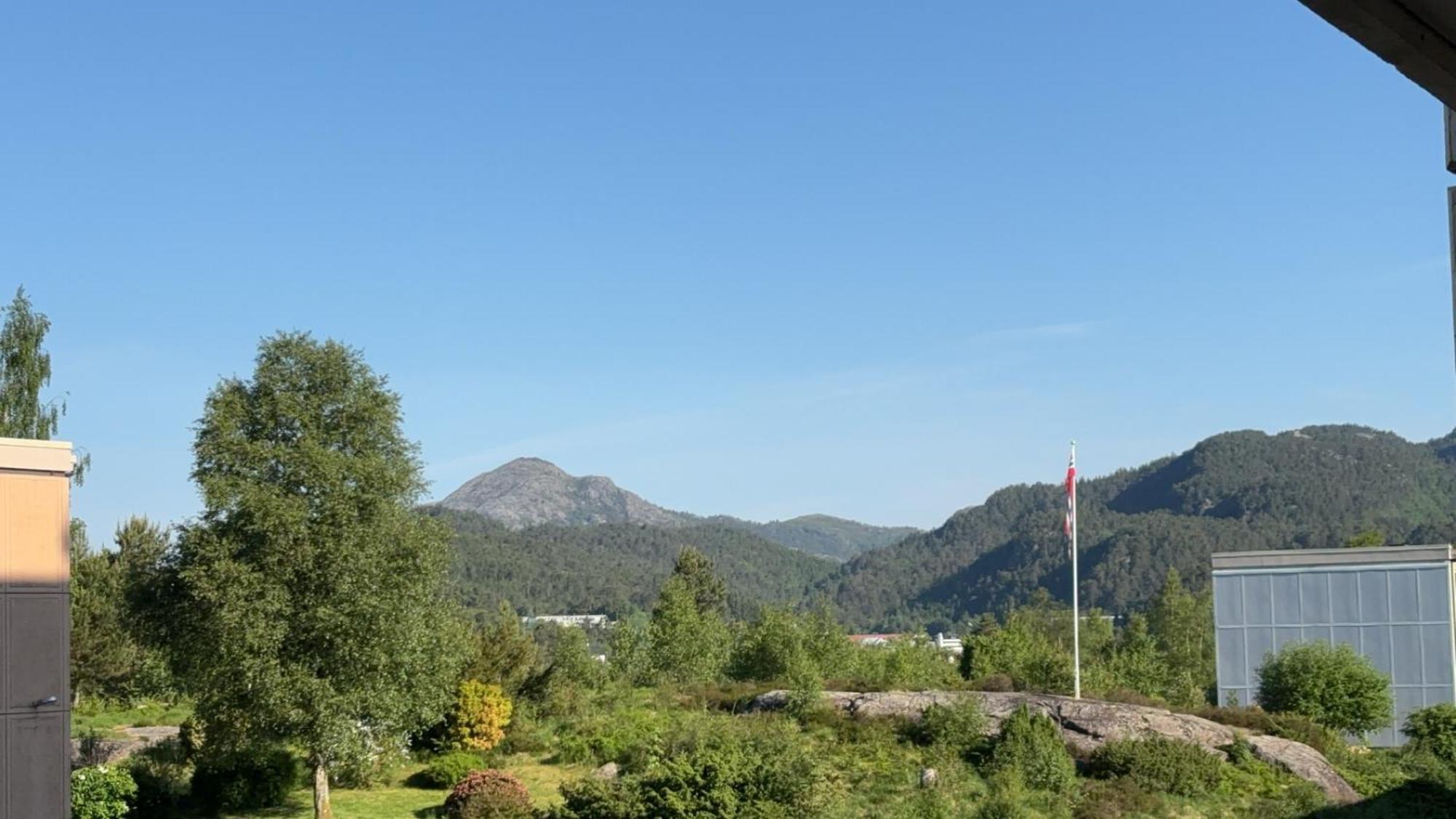 Apartment Fin Naert Alt