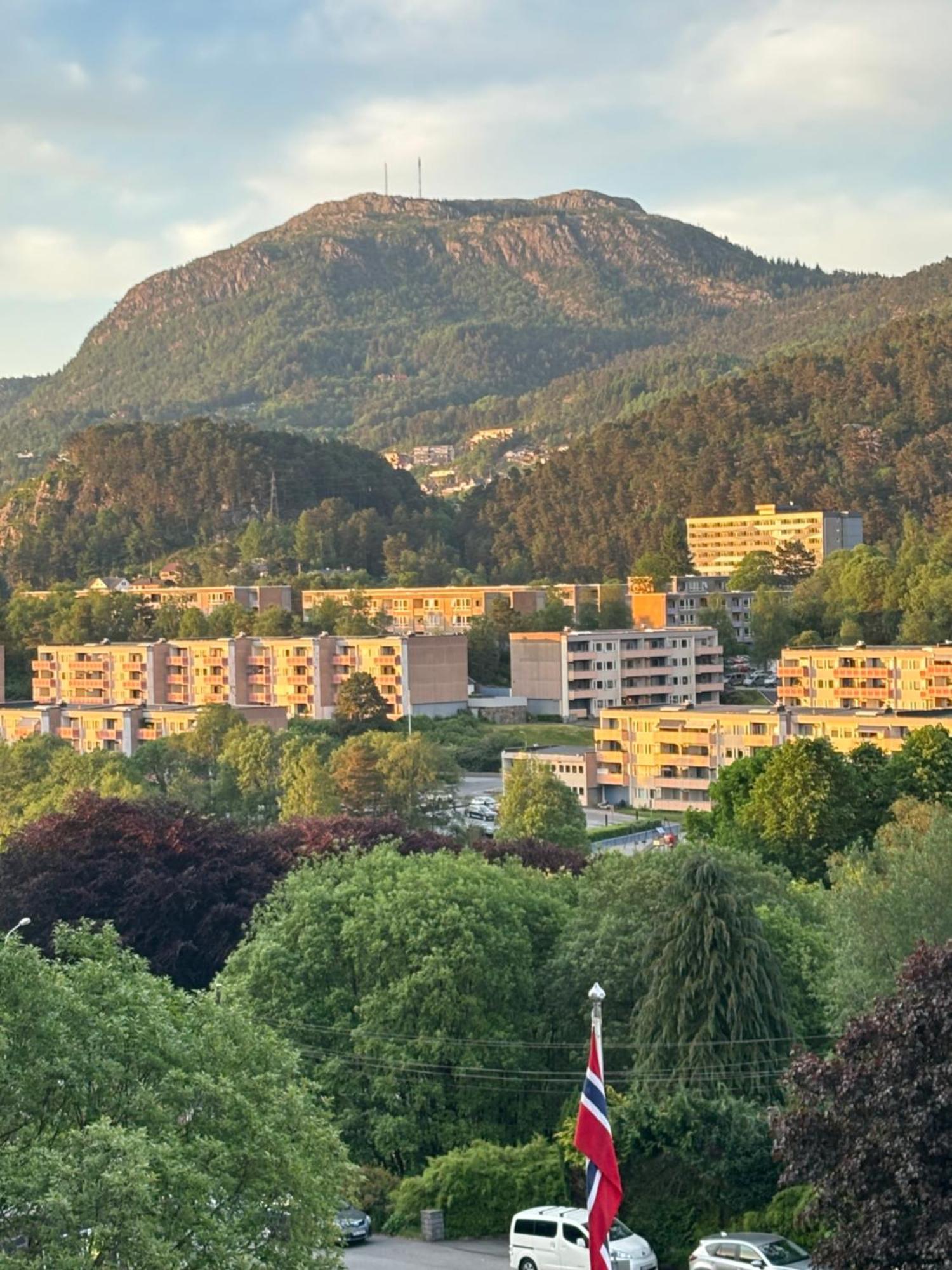Apartment Fin Naert Alt *