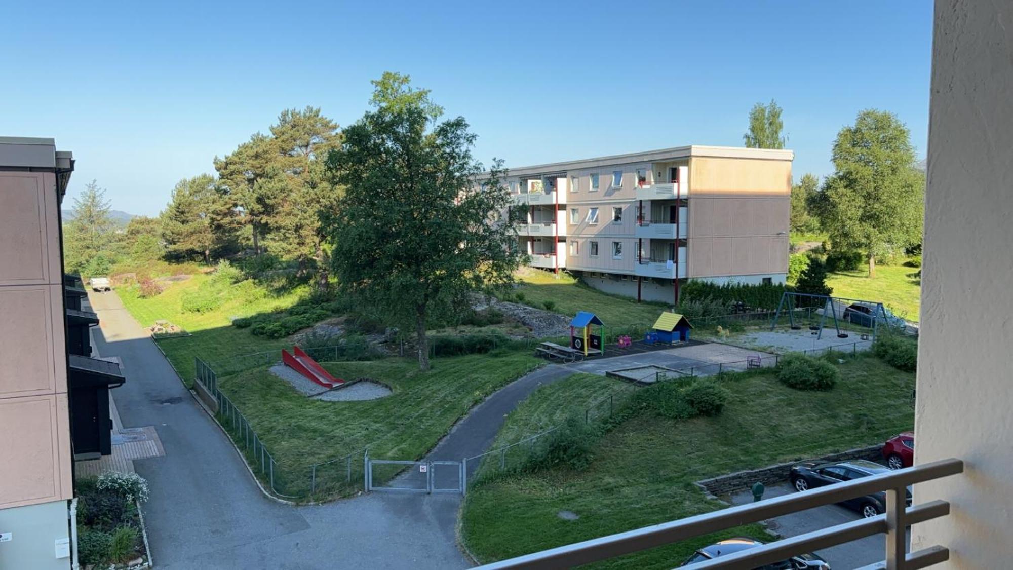 Fin Naert Alt Bergen