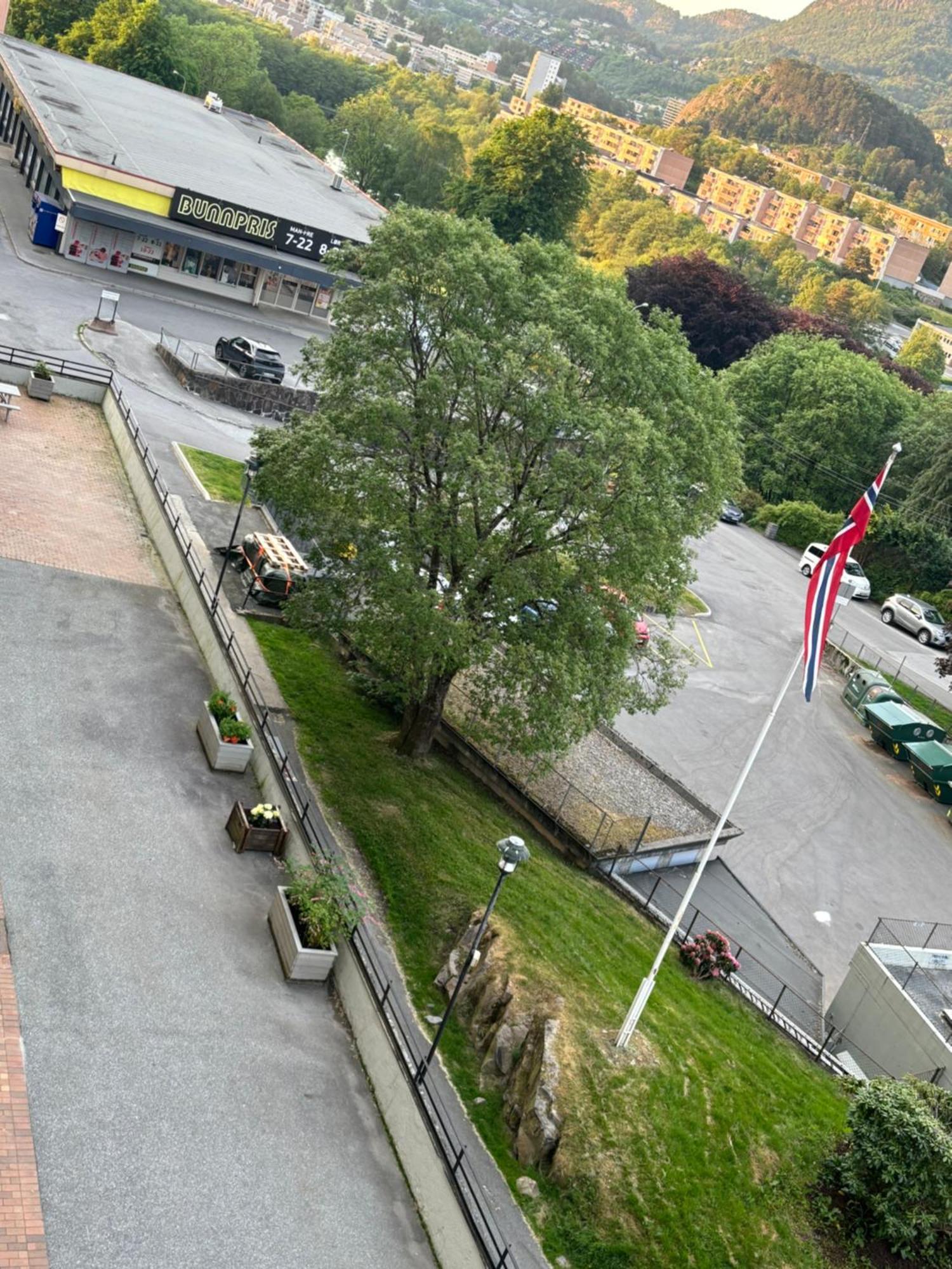 Apartment Fin Naert Alt *