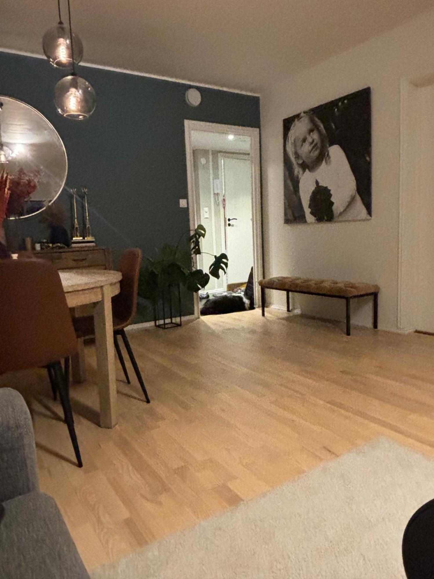 Fin Naert Alt Apartment Bergen