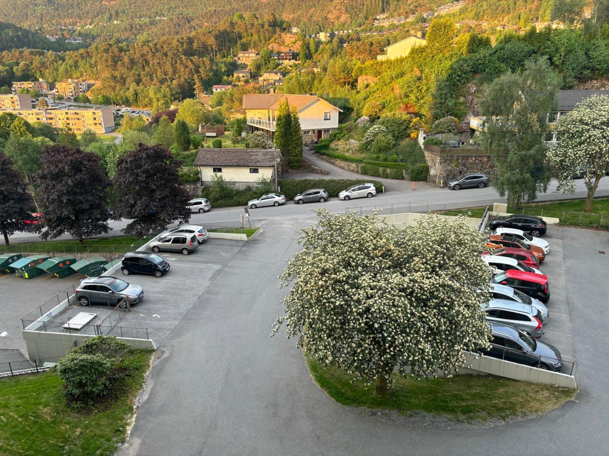Fin Naert Alt Apartment *