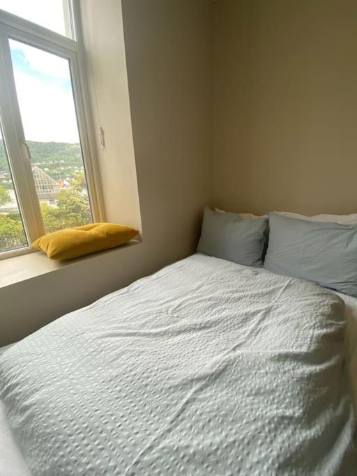 Modern With Panoramic View In Appartement