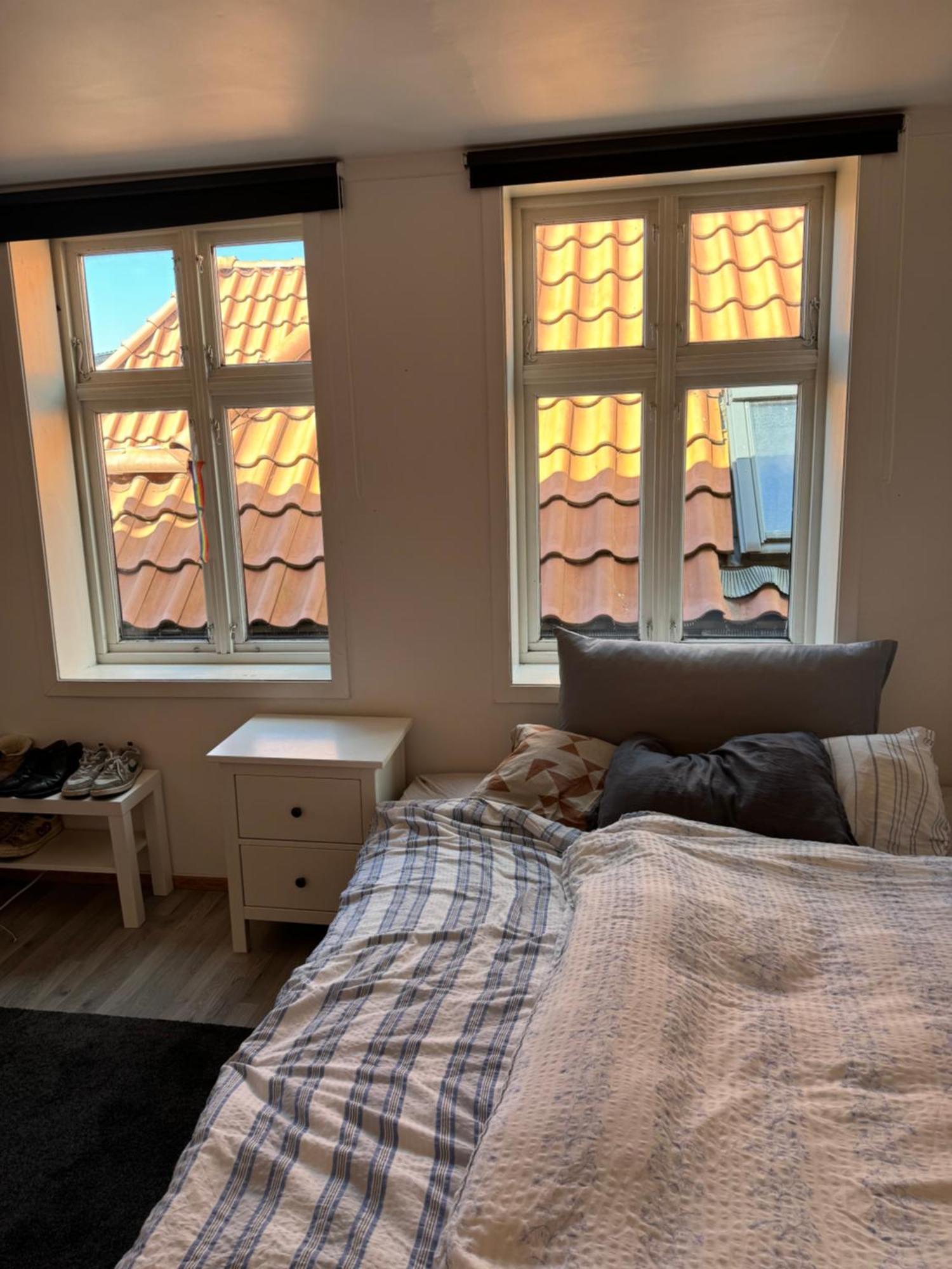 Spacious And I 250m From Bryggen Apartment Bergen