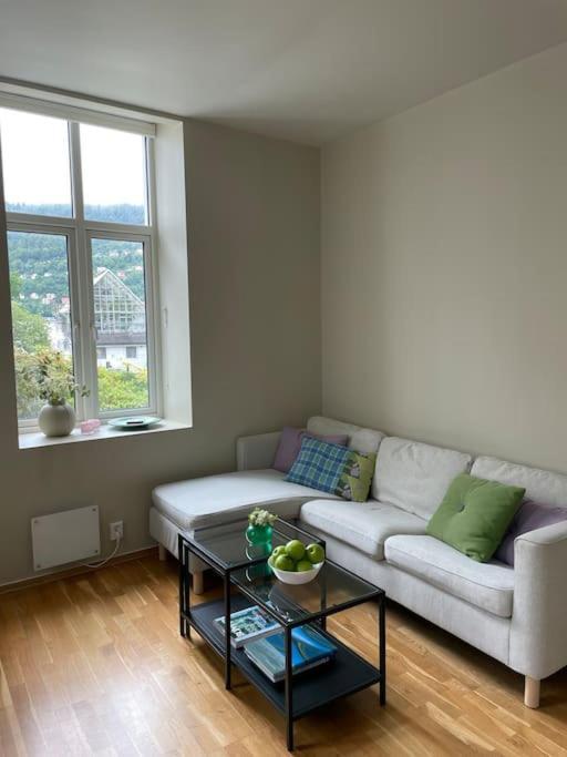 Appartement Modern With Panoramic View In Bergen