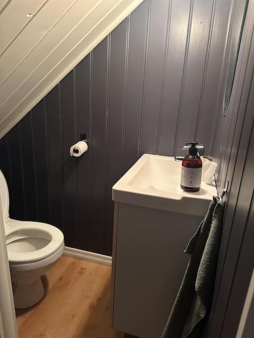 Hus Sentralt I Fyllingsdalen Apartment