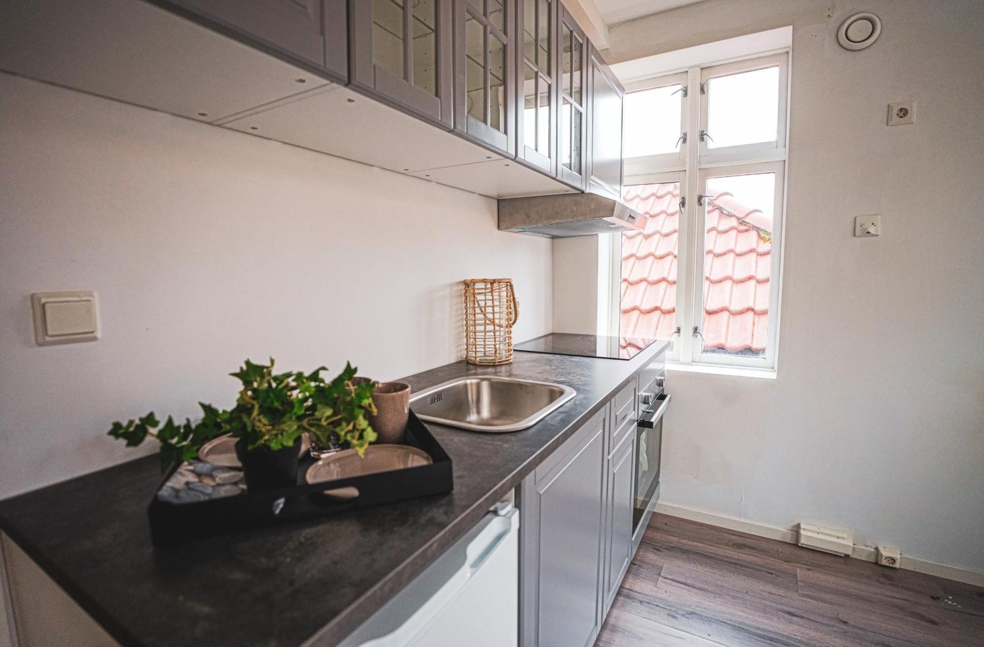 Apartment Bryggen Historic Area, Budget *