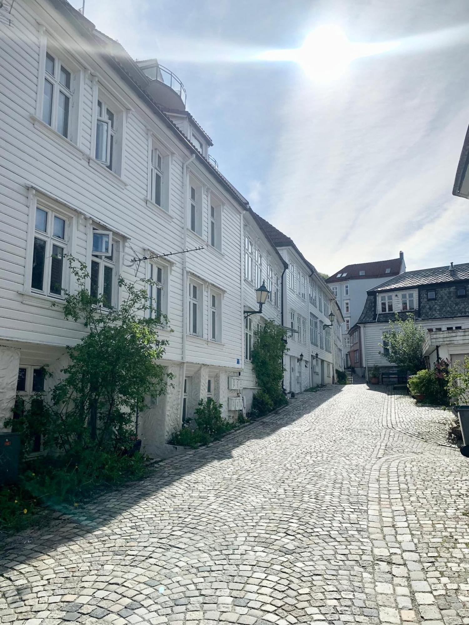 Nedre Stølen Bergen
