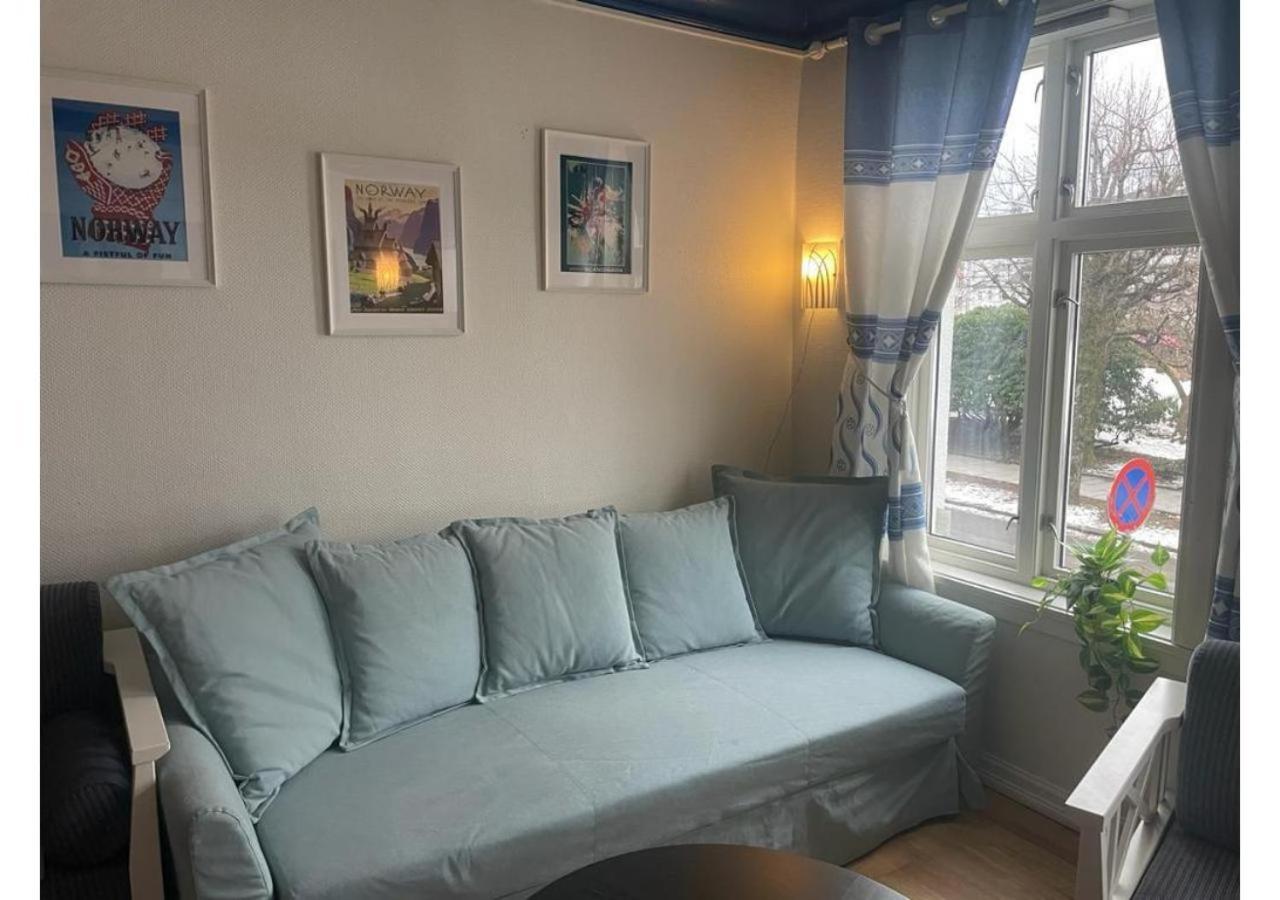 The Green House - In The Centre Of Apartment *