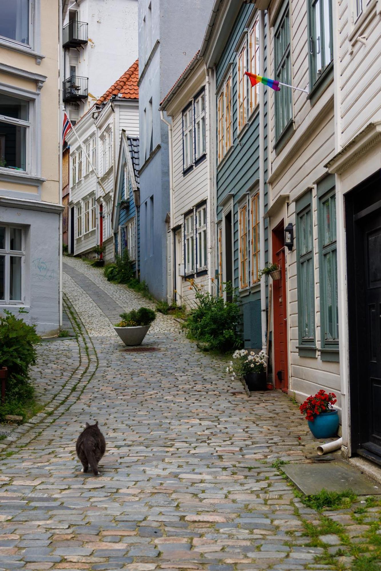 Nordnes Brygge Lägenhet *