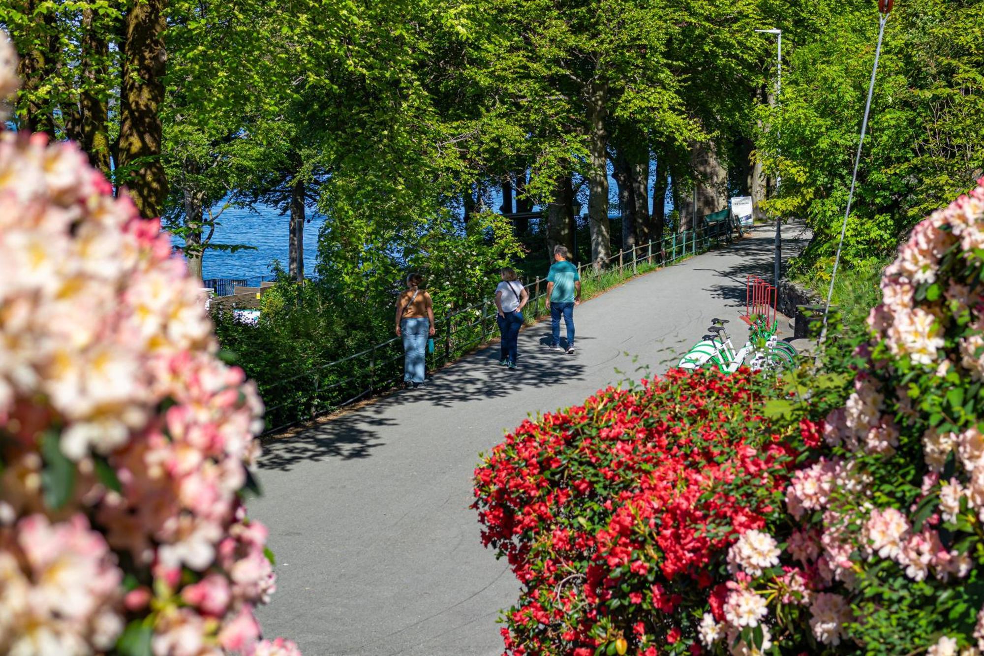 Nordnes Brygge Lägenhet *