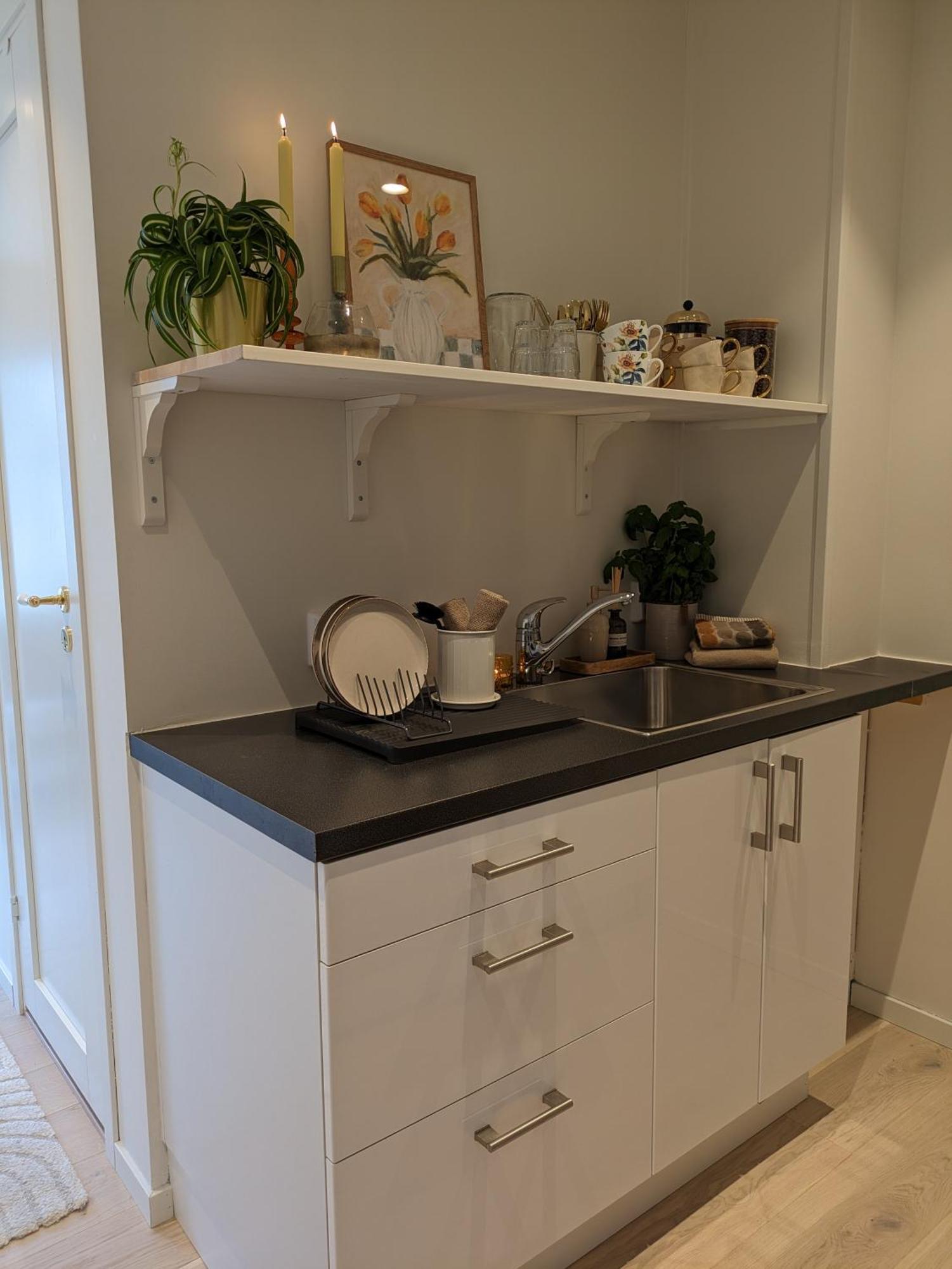 Meget Hjemmekoseligisentraltinyoppusset Bergen
