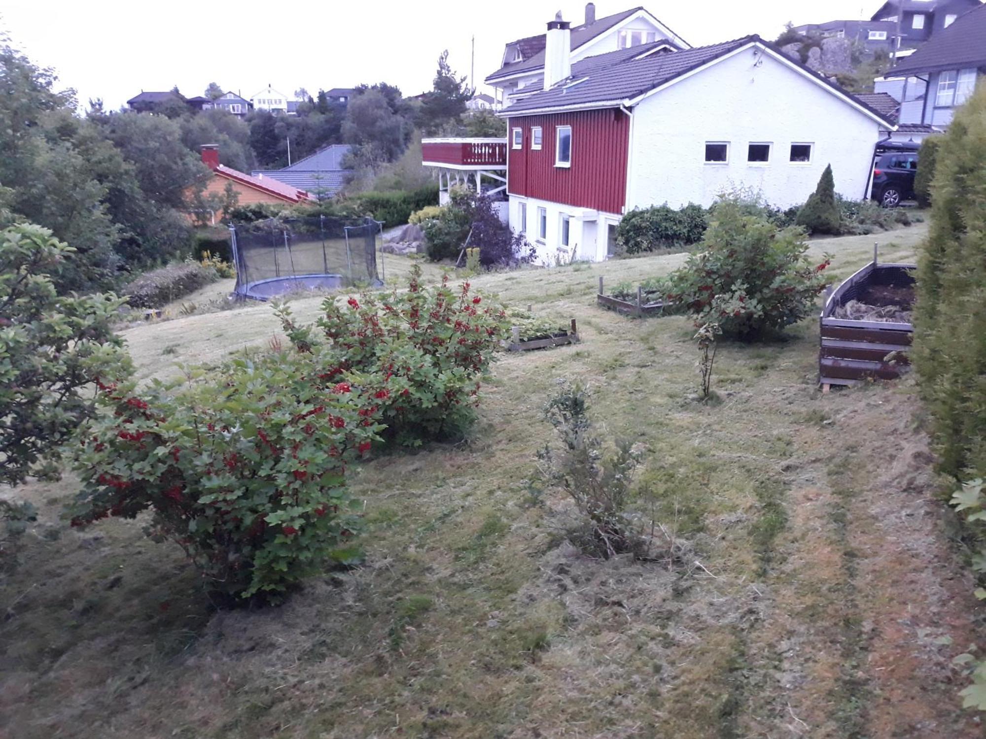 Idyllic House&garden, Urban&quiet Area, Free Car Parking *