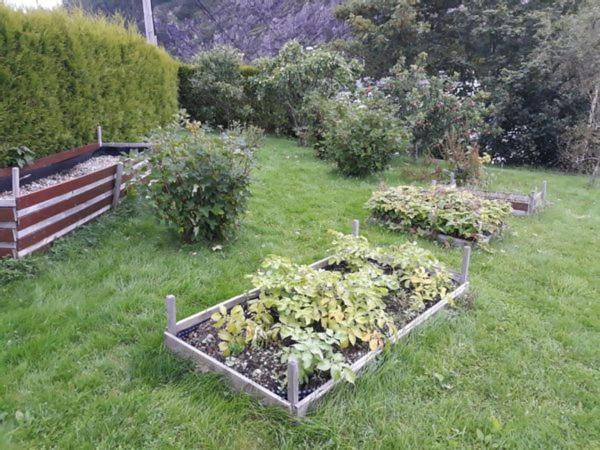 Idyllic House&garden, Urban&quiet Area, Free Car Parking Holiday home Bergen