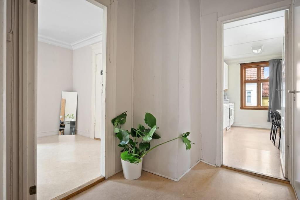 The Red House - Affordable Living In Center Apartment Bergen