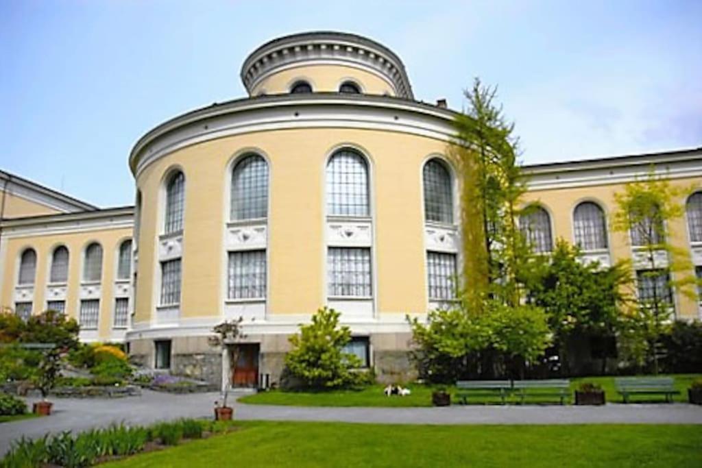 Apartment Spacious Historical Art Oasis In The Center